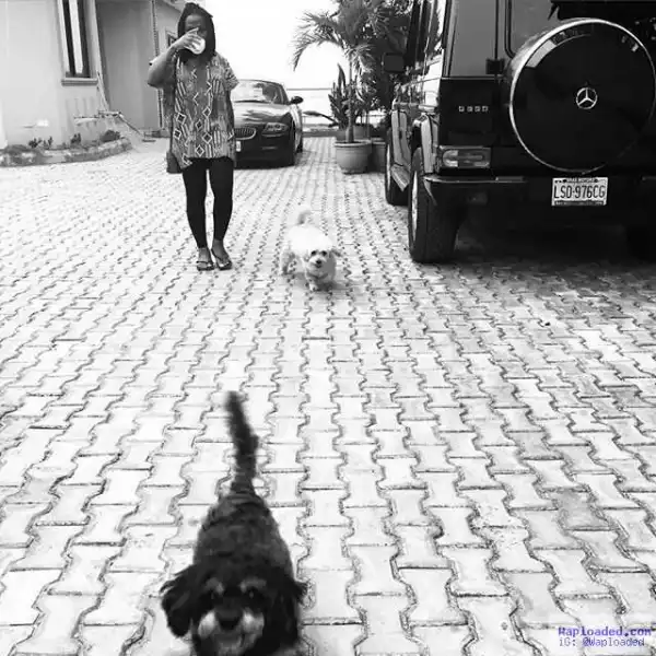 Photo: Singer Asa Shows Off Her Beautiful Dogs & Cars